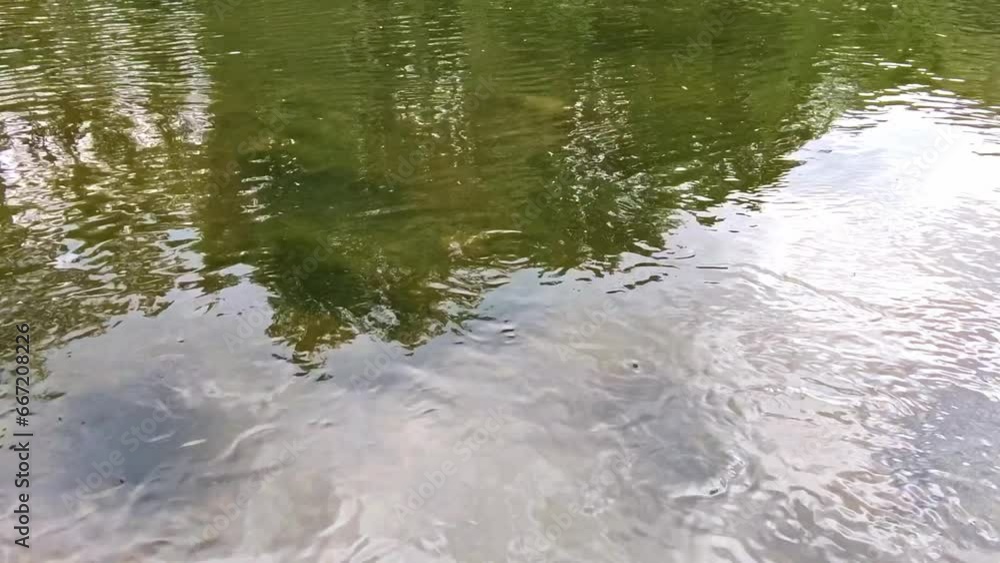 klares seichtes Wasser Fluss, Erfrischung, rein, fliessen, Kieselsteine, Grund, Strömung
klares seichtes Wasser Fluss, Erfrischung, rein, fliessen, Kieselsteine, Grund, Strömung