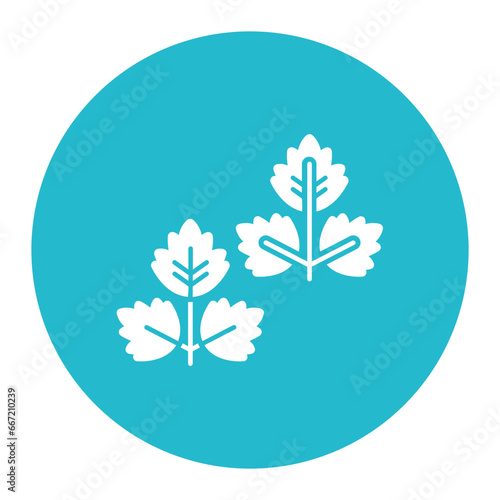 Parsley Icon