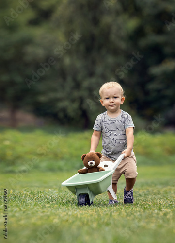 Adorable little boy in garden pushing wheelbarrow with teddy bear. Potato field and forest in background.