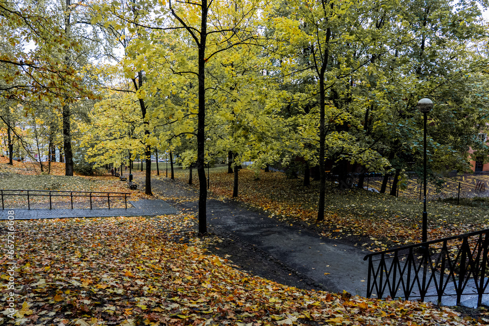 view of the park paths in autumn, black metal stair railing for park