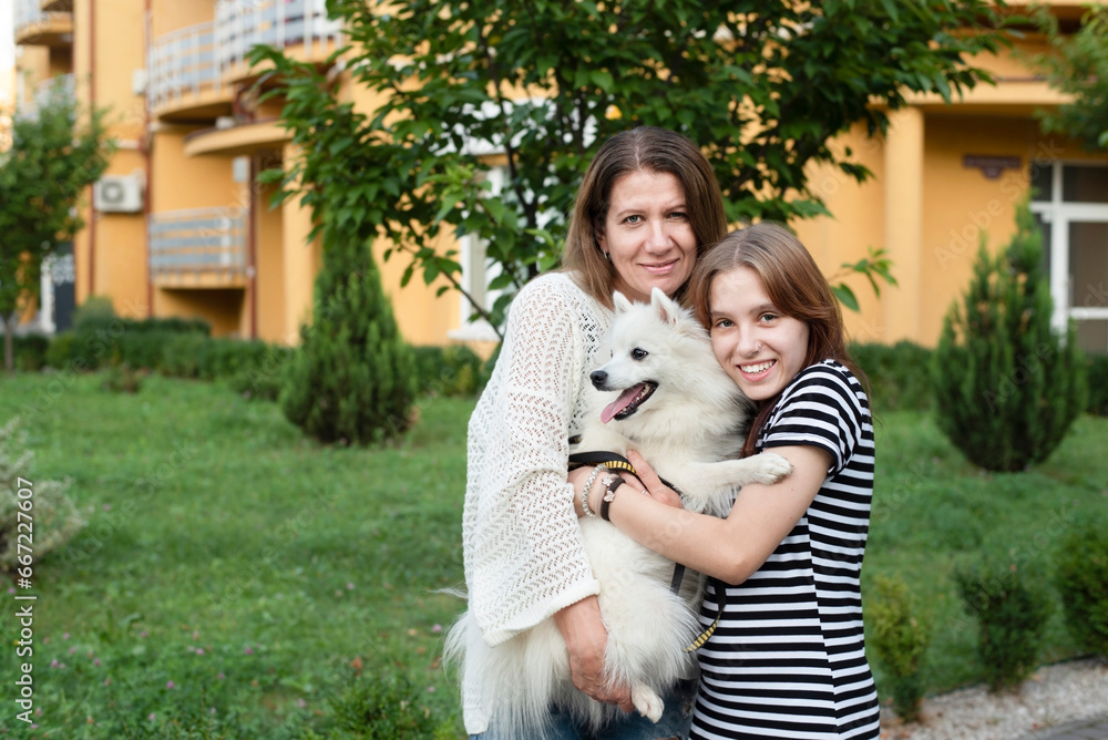 A mother and daughter hold a dog in their arms and calm it down after being attacked by strangers' large dogs. The dog feels confident in hands of its owners A mother and daughter hold a dog in their arms and calm it down after being attacked by strangers' large dogs. The dog feels confident in hands of its owners