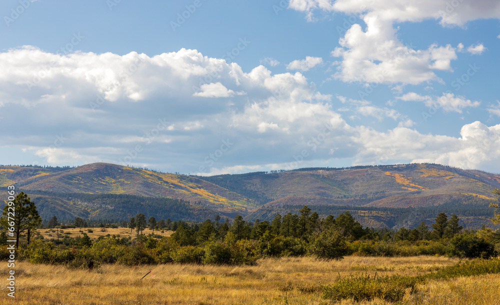 The colors of autumn. Scenic landscape in New Mexico The colors of autumn. Scenic landscape in New Mexico