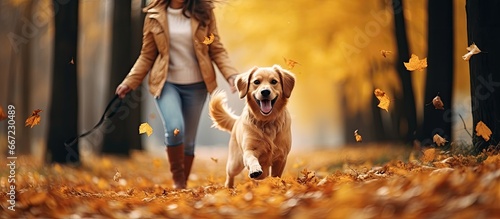 Happy woman and her pet puppy having fun while walking and playing with autumn leaves in the park