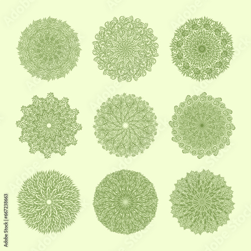 Set of simple floral mandala. Vector ornamental illustration.
