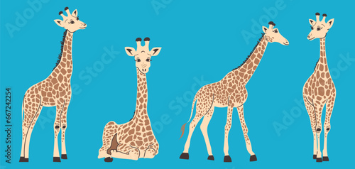 Giraffe in flat style. Set of hand drawn giraffes. Vector illustration.