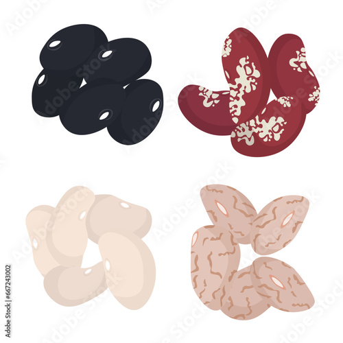 Set of different beans, black, red, white and pinto bean