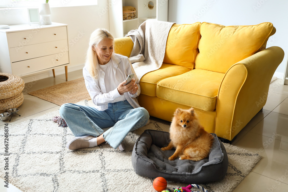 Mature woman with mobile phone taking picture of her Pomeranian dog at home Mature woman with mobile phone taking picture of her Pomeranian dog at home