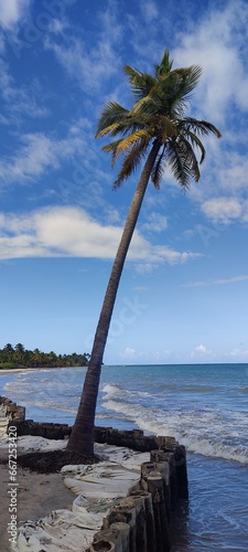 Vacaciones en la playa
