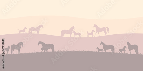 Herd of mares with foals at dawn, editable vector