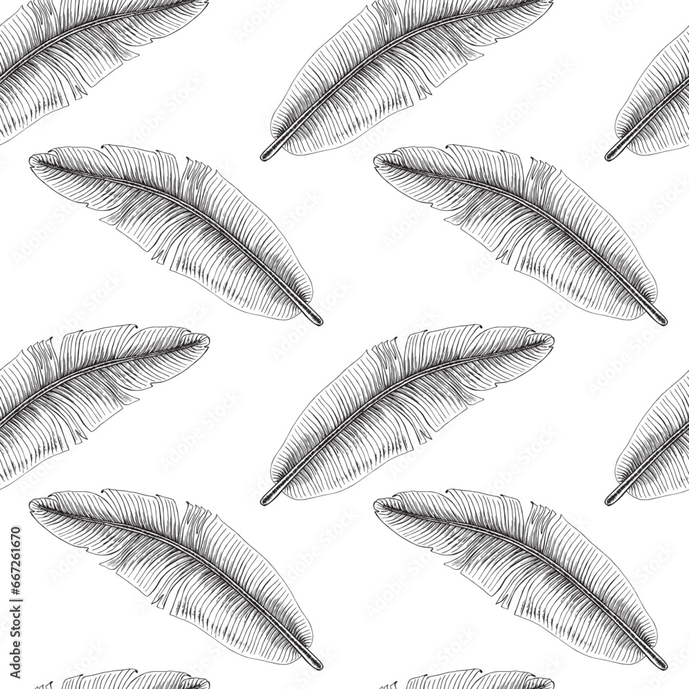 Seamless pattern of tropical banana palm leaf Jungle. Hand drawn illustration in vector. Botanical hand painted floral black elements on white background. Seamless pattern of tropical banana palm leaf Jungle. Hand drawn illustration in vector. Botanical hand painted floral black elements on white background.