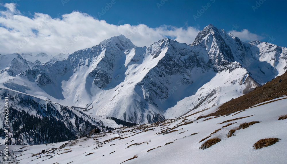 Fototapeta premium Winter Wonders Exploring the Snowy Mountains