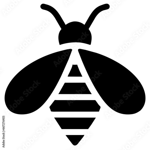 honey bee