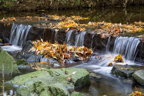 Fototapeta Naklejka Na Ścianę i Meble -  Autumn leaves at the small dam. Juhyne River. Eastern Moravia. 