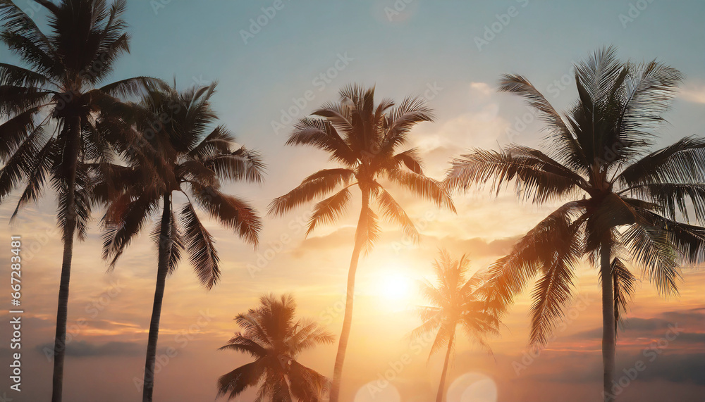 tropical palm coconut trees on sunset sky flare and bokeh nature background
