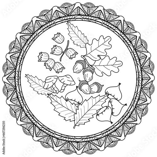Vector illustration of autumn season with mandala frame for coloring book antistress, illustrazione vettoriale di frutti autunnali con cornice mandala da colorare
