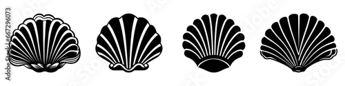 Sea shell icon. Set of black pearl shell icons. Shell vector icons. photo