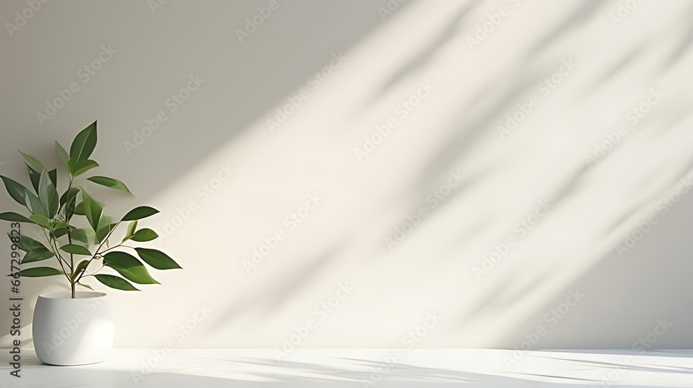 Concrete white wall and floor. White background and shadow with plant Concrete white wall and floor. White background and shadow with plant