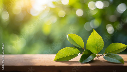 green leaf for nature on blurred background with beautiful bokeh and copy space for text