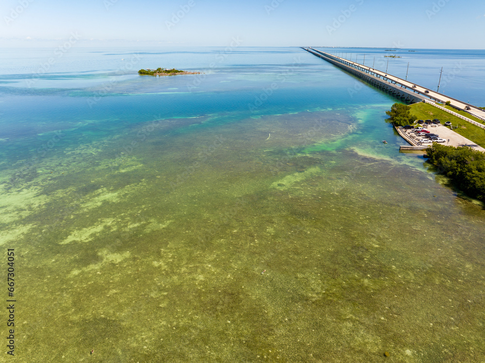 Naklejka premium Bright green reef in the Florida Keys