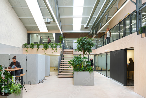 Bright Madrid coworking space with greenery photo