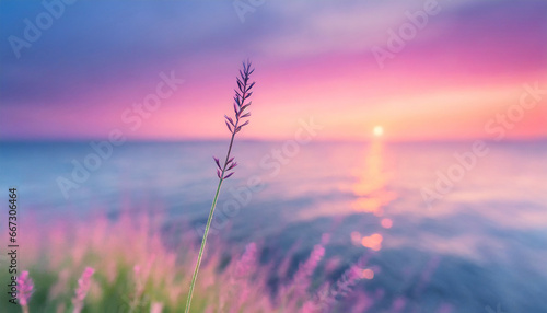 little grass stem close up with sunset over calm sea sun going down over horizon pink and purple pastel watercolor soft tones beautiful nature background