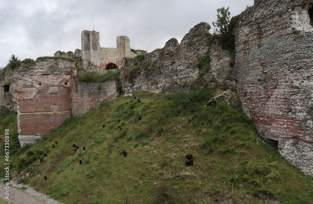 ruins of the castle on the hill