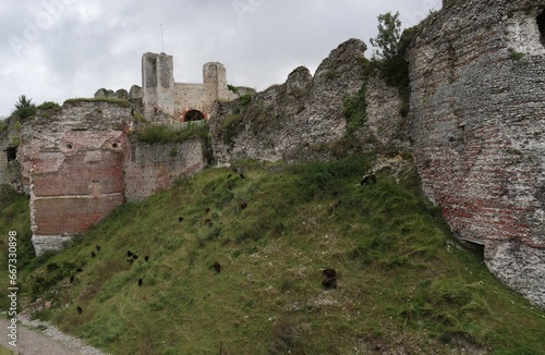 ruins of the castle on the hill