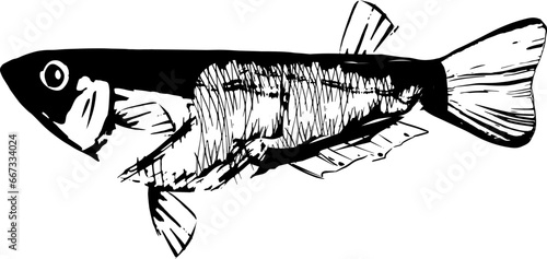 メダカの墨絵和風イラスト