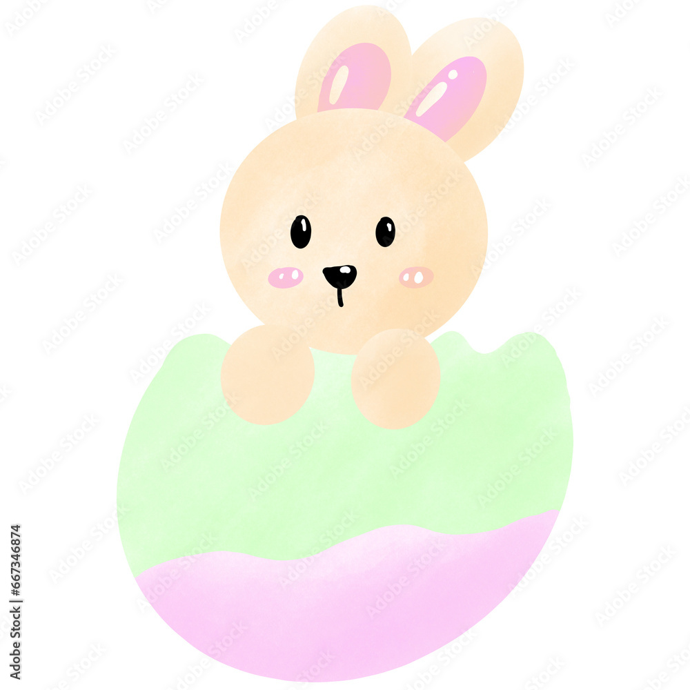 Rabbit on white background. Rabbit on white background.