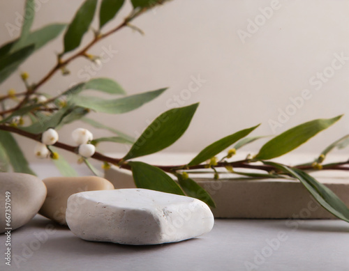 Neutral background with stones branch and natural colors ideal for beauty product branding and packaging Front perspective copy space . Mockup image