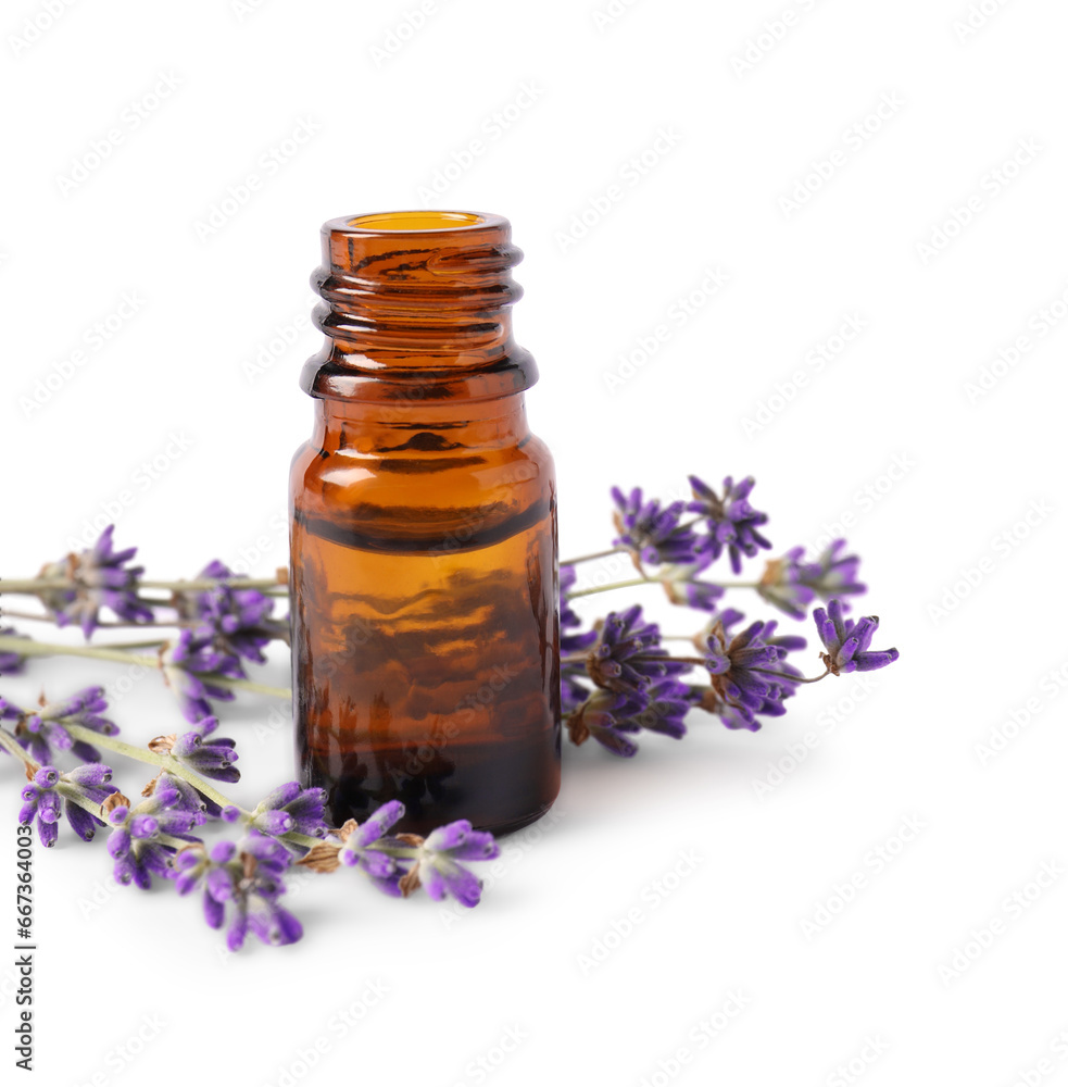 Bottle of essential oil and lavender flowers on white background Bottle of essential oil and lavender flowers on white background
