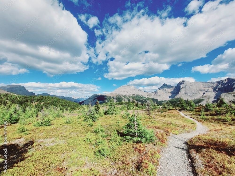 Twin Cairns Meadows, Banff, Rocky Mountains Twin Cairns Meadows, Banff, Rocky Mountains