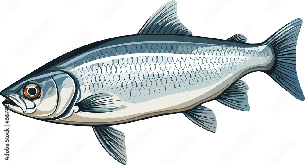 Obraz premium Cute herring