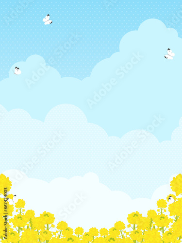 菜の花畑にモンシロチョウが飛ぶ風景（縦向き）