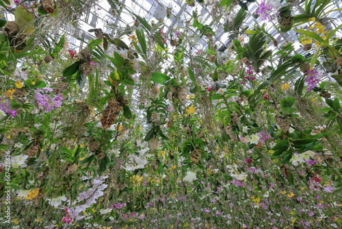 Fotografía Exhibition room at teamLab Planets by art collective teamLab in Tokyo, Japan