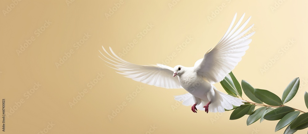 White dove flying with olive branch in its beak - obrazy, fototapety, plakaty 