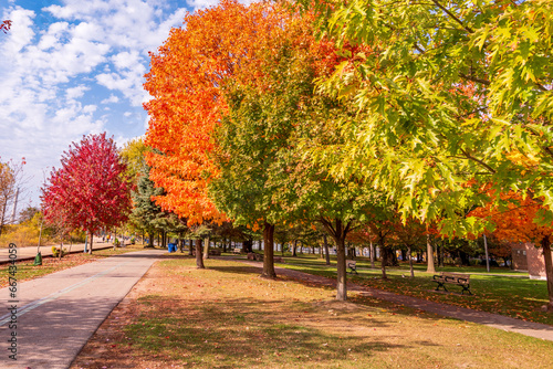 Canvas Print fall color: bright red foilage with a wooden boardwalk, paved bike path and a br