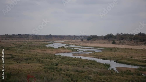In a vast expanse of the African bush, a river winds its way, shimmering under the sun. This sweeping wide shot captures its meandering path, the lifeline of the wilderness and its many inhabitants