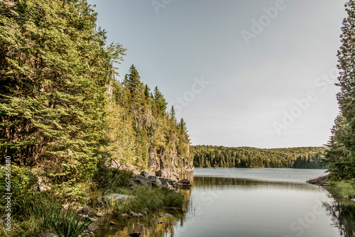 View on the Forest near lake in La Mauricie National Park Quebec  Canada on a beautiful day