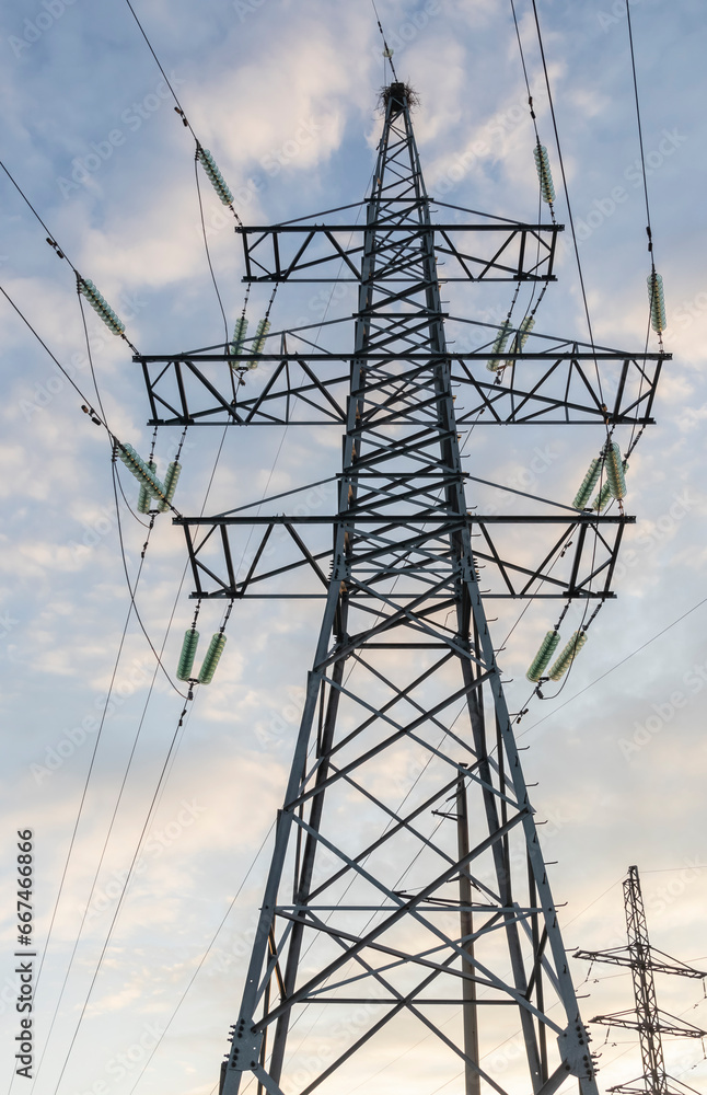 power line view from below against the sky in the morning with a nest at the very top
