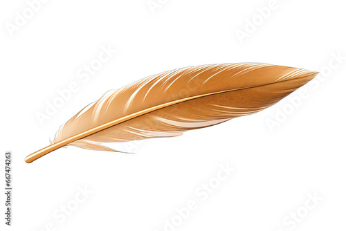 Feather Isolated