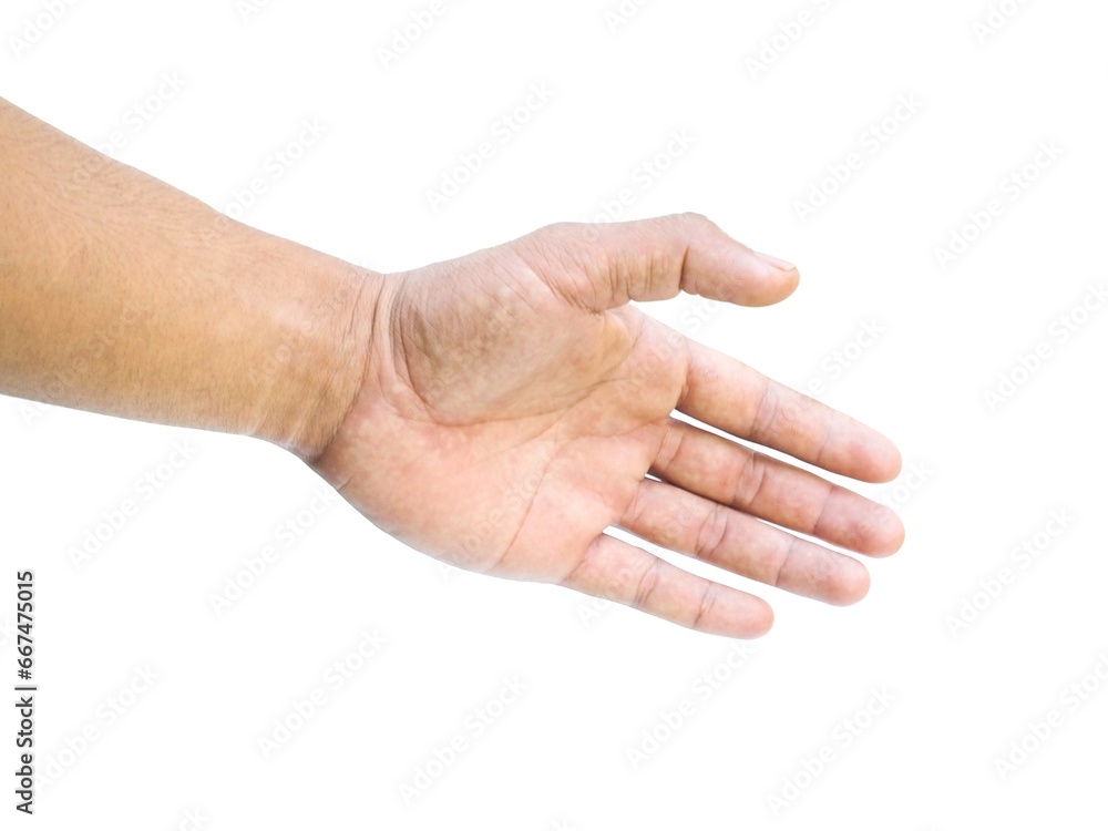 Male hands extended forward to shake hands or grab something on white background business concept.