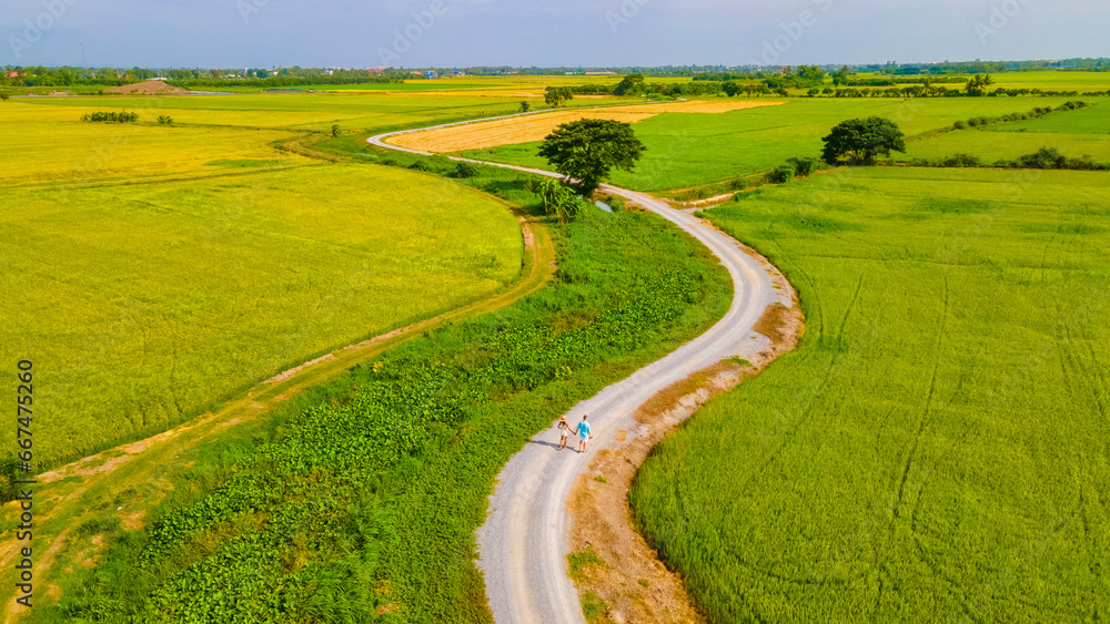 a couple of men and women on vacation in Thailand walking on a curved winding countryside road in the middle of green rice paddy fields in Central Thailand Suphanburi region, drone aerial view - obrazy, fototapety, plakaty 