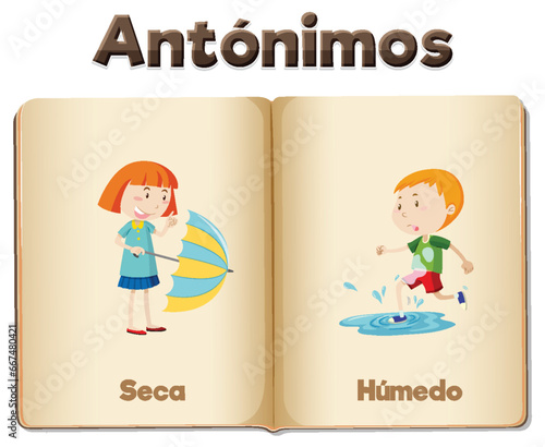 Antonym Word Card: Seca and Húmedo means dry and wet