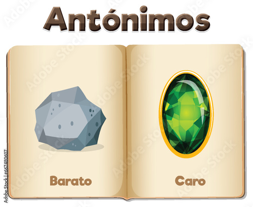 Antonym Word Card in Spanish: Barato and Caro means cheap and expensive