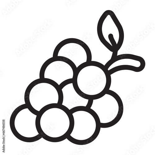grape line icon