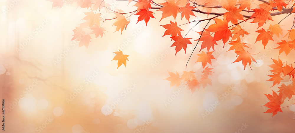 autumn leaves background autumn leaves background