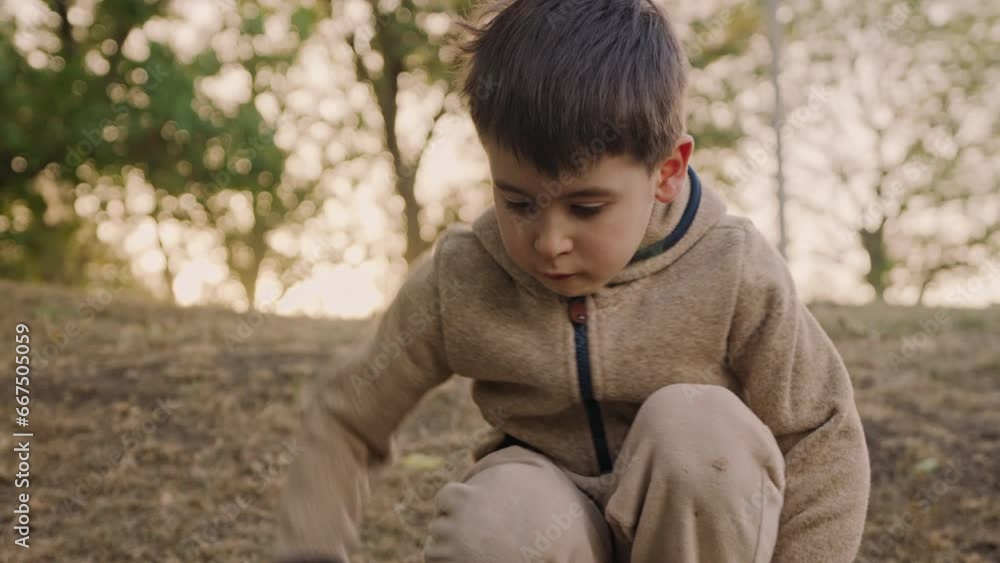 Little kid boy standing playing alone on nature meadow on holidays. Morning and golden soft sunlight Little kid boy standing playing alone on nature meadow on holidays. Morning and golden soft sunlight
