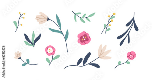 Flowers and leaf, botanical elements set. Floral plants, spring and summer blooms, leaves, wildflowers. Natural design elements collection. Flat vector illustrations isolated on white background