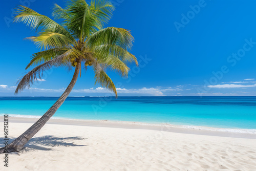 palm tree on the beach © Nature creative